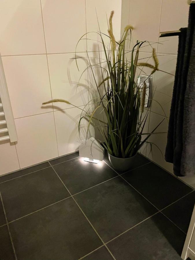 Zur Wiege Anhalts * Ballenstedt